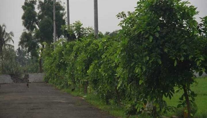 vuda plots near anadapuram