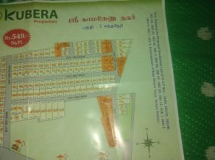 Gubera properties