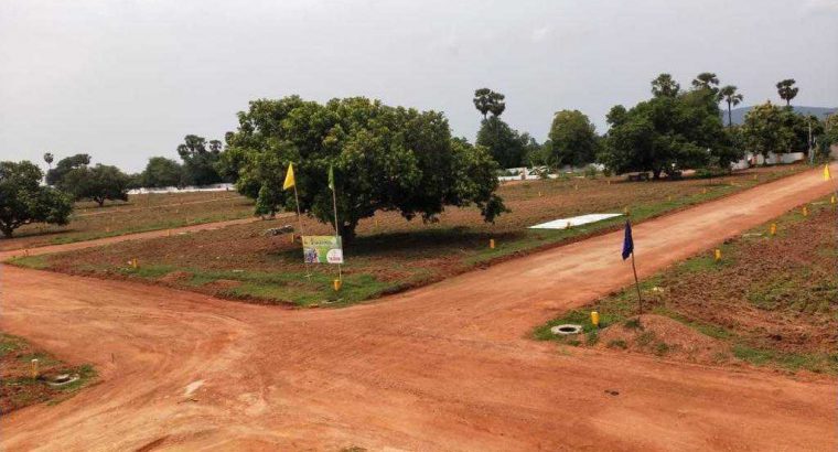 SREE RUGVEDA -SREE CITY , BHOGAPURAM, VISAKHAPATNAM .