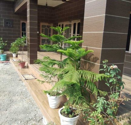 Very nice house for sale in Himachal Pradesh India, total property 30 Marla’s, house in 8 Marla’s.