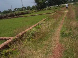 litigation free home state lands are available in pocket assistance peice