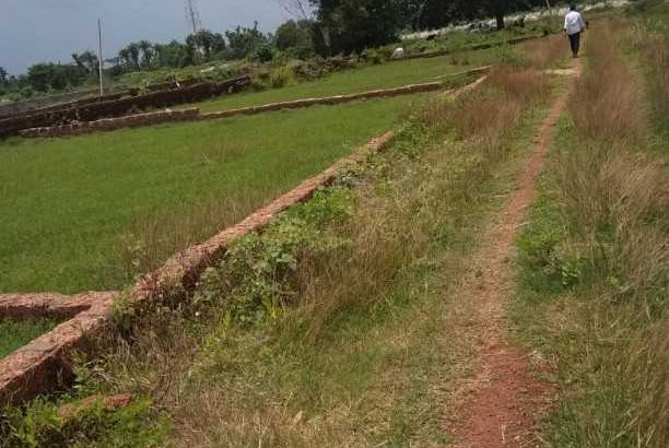 litigation free home state lands are available in pocket assistance peice