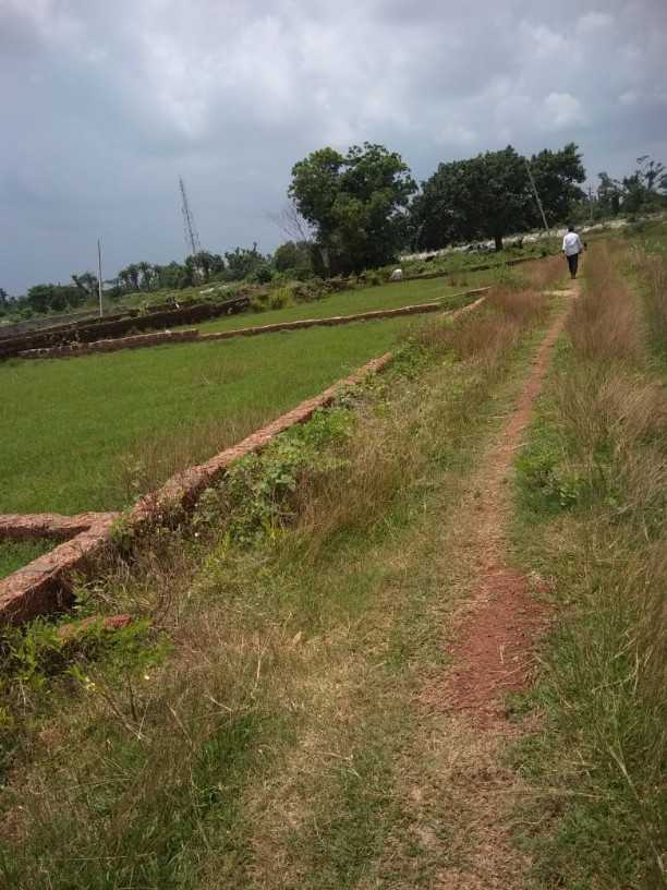 litigation free home state lands are available in pocket assistance peice