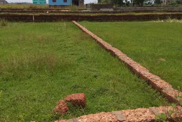 litigation free home state lands are available in pocket assistance peice