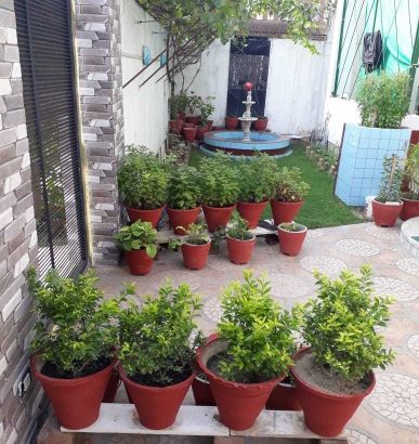 Kothi for Sale