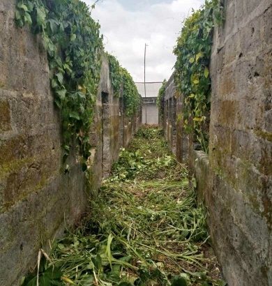 14 r9ms hostel for sale in abraka 4.5million