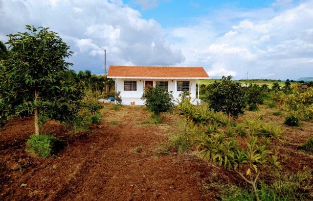 Saivishva Builders & Developer