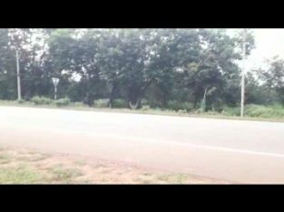 9 acer form land for sale in chillapoor, vilege, podoor mandal, vikarabad district ,