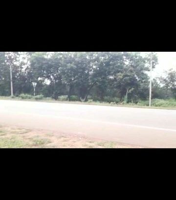 9 acer form land for sale in chillapoor, vilege, podoor mandal, vikarabad district ,