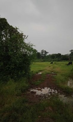 5lac 1guntha obc open plot