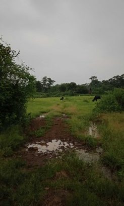 5lac 1guntha obc open plot