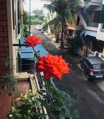 Duplex House for rent