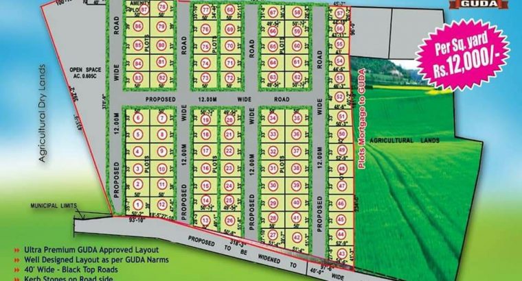 In GUDA APPROVED LAYOUT open plots, independent