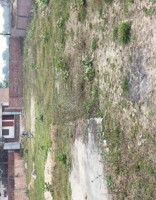 𝒈𝒐𝒐𝒅 𝒑𝒍𝒐𝒕 𝒈𝒐𝒐𝒅 location