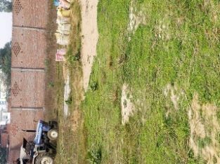 𝒈𝒐𝒐𝒅 𝒑𝒍𝒐𝒕 𝒈𝒐𝒐𝒅 location