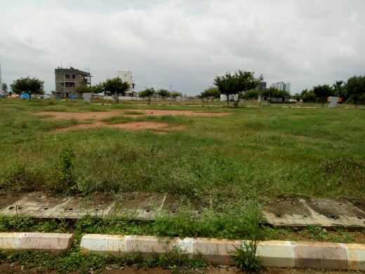 commercial site