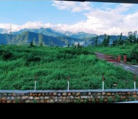 INVESTMENT PLOTS AVAILABLE IN LOW PRICE