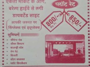 Balaji realities company