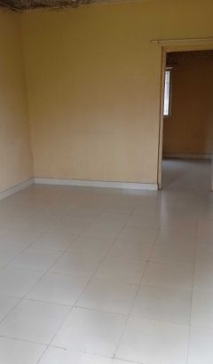 1 bhk flat for rent