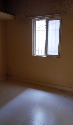 1 bhk flat for rent