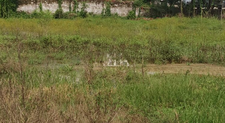 लखनऊ फैजाबाद रोड पर मेन हाईवे से लगा हुआ प्लॉट Green square City