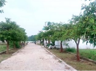 Affordable Plot’s Dream House