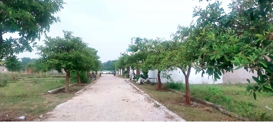 Affordable Plot’s Dream House