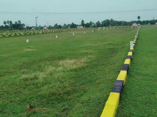 DTCP approved SSLF city