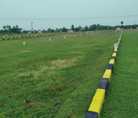 DTCP approved SSLF city