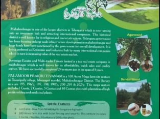 near Mahbubnagar vemulaDasaripalli hyderabad to banglore highway guntas 1 gunta 121 gajalu 181000