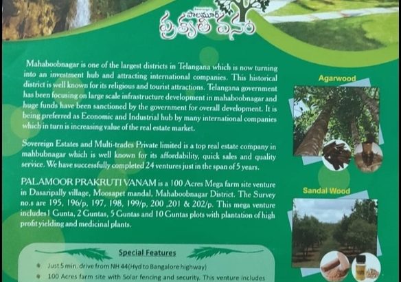 farm land near Mahbubnagar jadcherla hyderabad to banglore highway vemula Dasaripalli