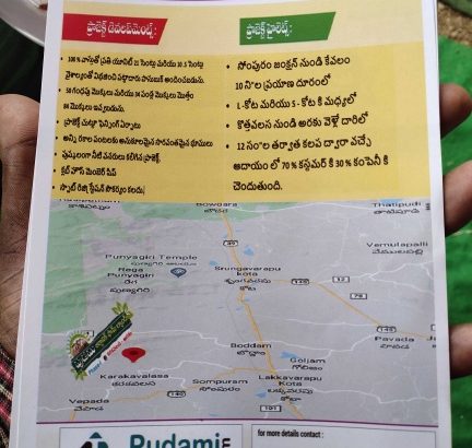 pudami organic farmland