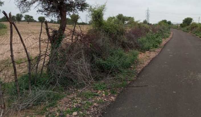 agriculture land sell on road 15 bigha