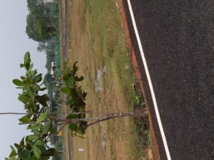 PLOTS FOR SALE IN GUDUVANCHERY