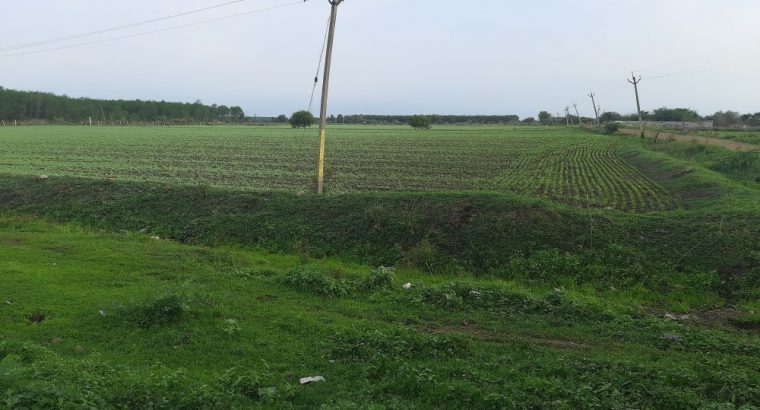 150 Sq.Yrd  VUDA Layout at Kanchikacharla Hyderabad Highway