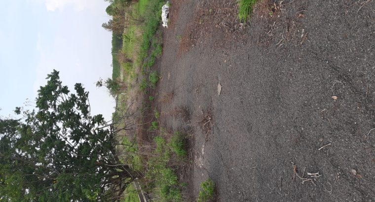 150 Sq.Yrd  VUDA Layout at Kanchikacharla Hyderabad Highway