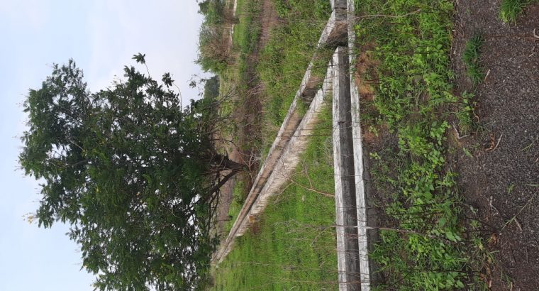 VUDA Layout for sale