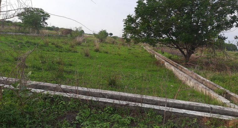 VUDA Layout for sale