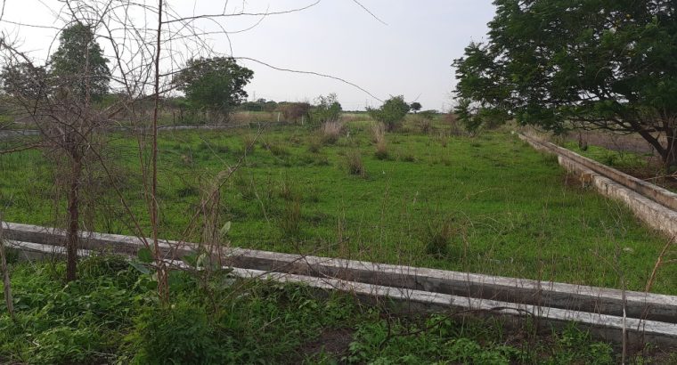 VUDA Layout for sale