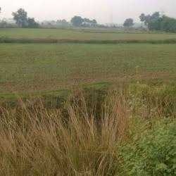 8 acre plot bechna hai