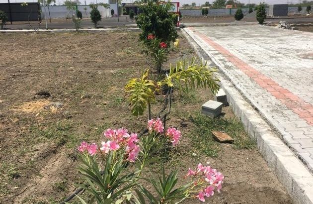 Independent Land and House