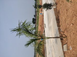 HMDA, RERA, 70% Bank loan, Well gated community, Open plots