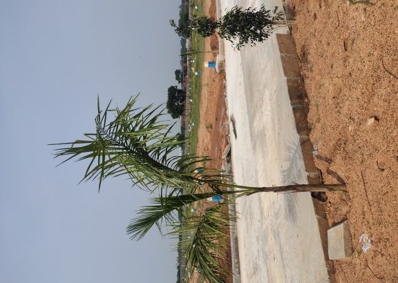 HMDA, RERA, 70% Bank loan, Well gated community, Open plots