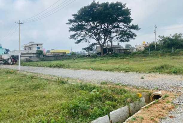 low budget plots are available