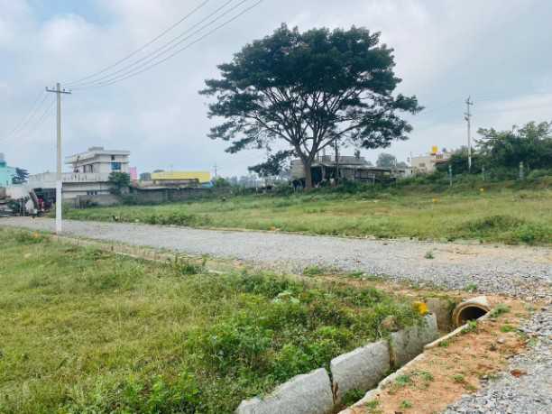 low budget plots are available