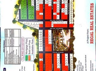 REGAL REAL ESTATE DEVELOPERS