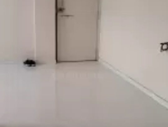 1 BHK ON RENT RS 7500 IN EVERSHINE CITY VASAI EAST