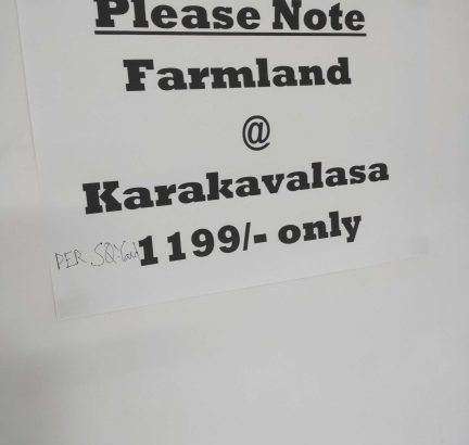 pudami organic farmland