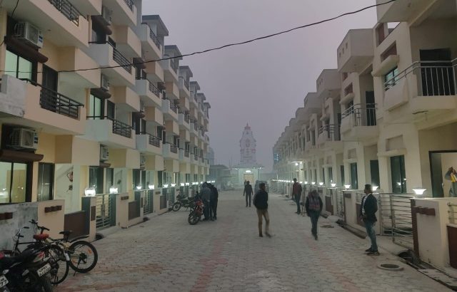 Lotus Garden society