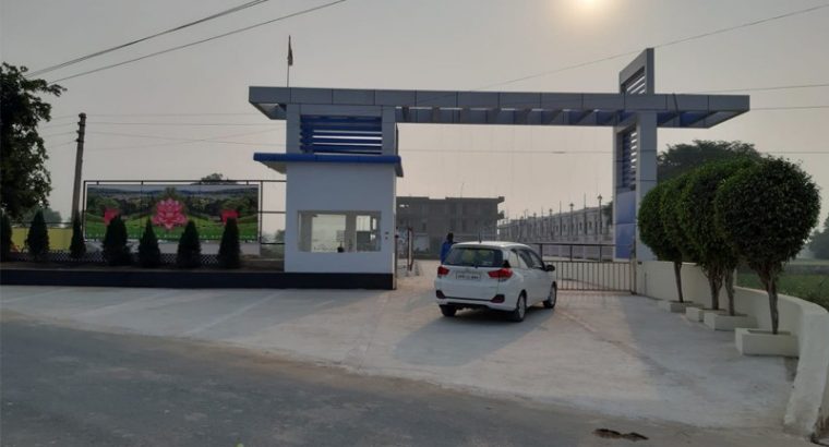 Lotus Garden society